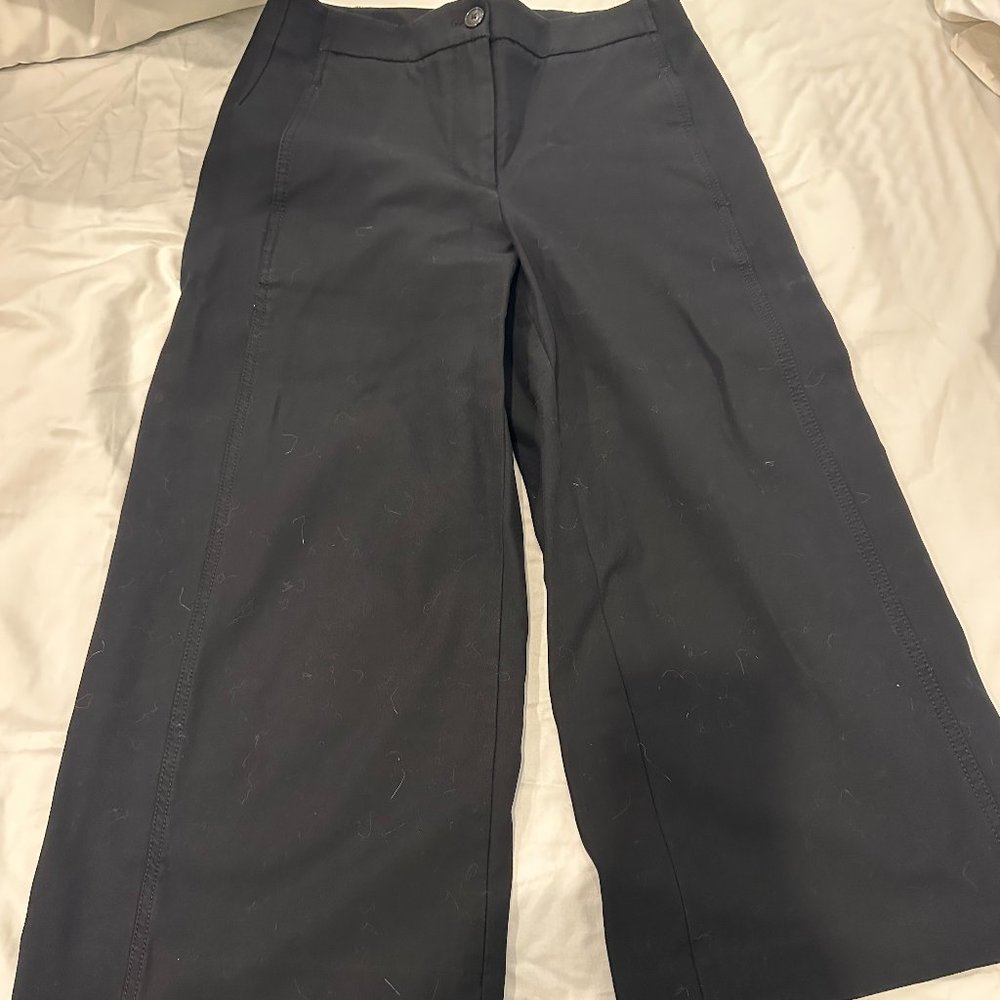 Black Crop Flare Ann Taylor Pants